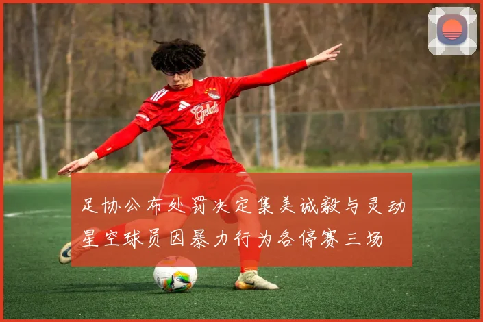 足协公布处罚决定集美诚毅与灵动星空球员因暴力行为各停赛三场