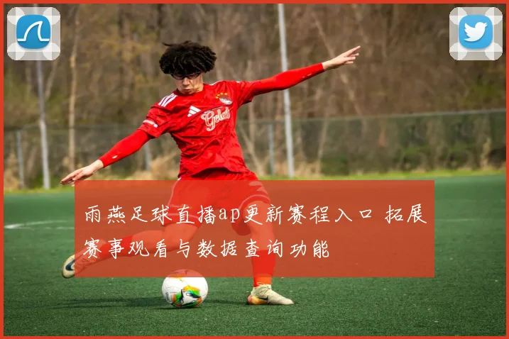 雨燕足球直播ap更新赛程入口 拓展赛事观看与数据查询功能