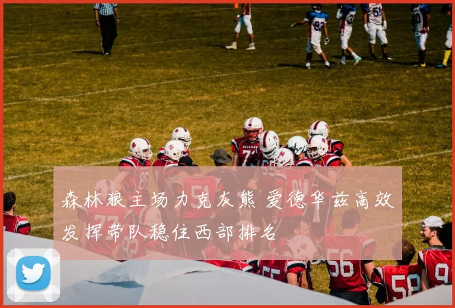 森林狼主场力克灰熊 爱德华兹高效发挥带队稳住西部排名